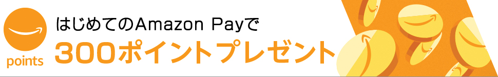 Hajimete-Amazonpay_image.jpg