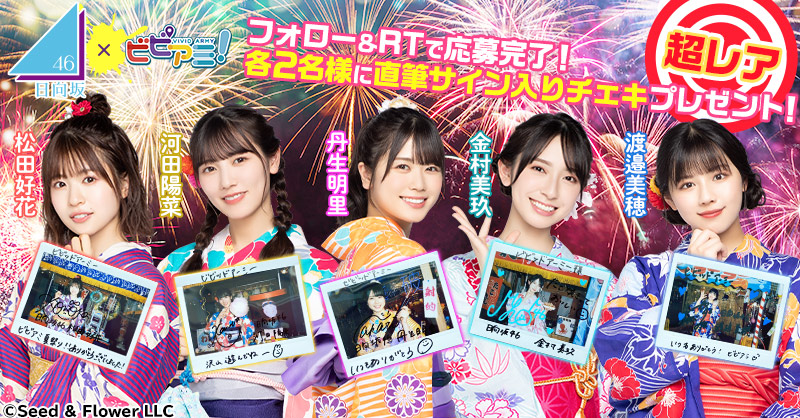 日向坂46×ビビッドアーミーチケットホルダー 日向坂46×ビビッドアーミーチケットホルダー - メルカリ